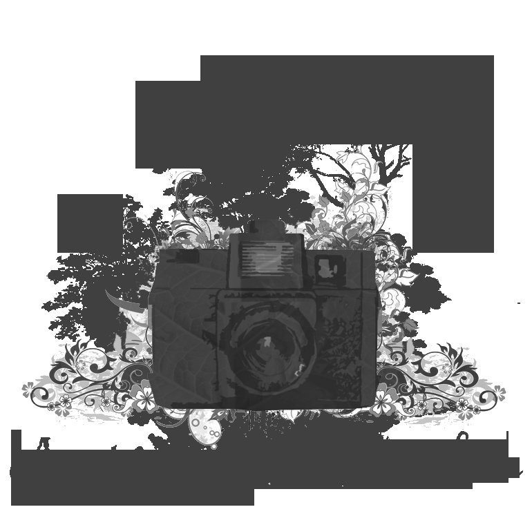 rencontre cinéma nature dompierre sur besbre