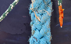 Cordages • Sophie Schoenhentz-Jégo Cordages • Sophie Schoenhentz-Jégo
