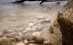 83 - Le lavandou • Les pieds dans l'eau - part 5 83 - Le lavandou • Les pieds dans l'eau - part 5