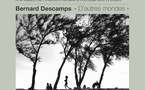 85 - Rocheservière • "D'autres mondes" de Bernard Descamps