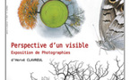 69 - Larbresle • "Perspective d'un visible" d'Hervé Clavreul