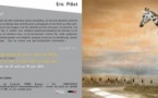 74 - Annecy • Exposition "In Situ" d'Eric Pillot à la galerie Chambre Claire