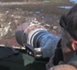 Les secrets des photographes animaliers.