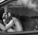 Reservoir chickens • Alain Laboile