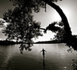 Enjoy • Grégory Follain