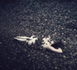 In leaves • Pauline Greefhorst