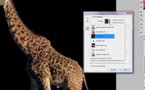 L'outil déformation de la marionnette sous Photoshop CS5