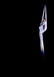 Suspendu - Jean-Claude Chaumeton