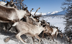Images et Neige (Cluses)