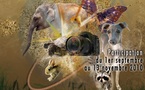 Concours de Photos Sky Prods, sur le thème des animaux