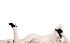 Eat me Naked • Rankin (Paris)