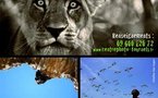 Rencontres Imagerie Nature (Fournels)