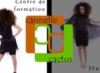 Studio Cannelle Cactus