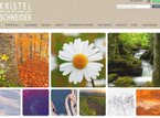 Schneider Kristel 