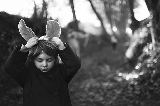 © Alain Laboile