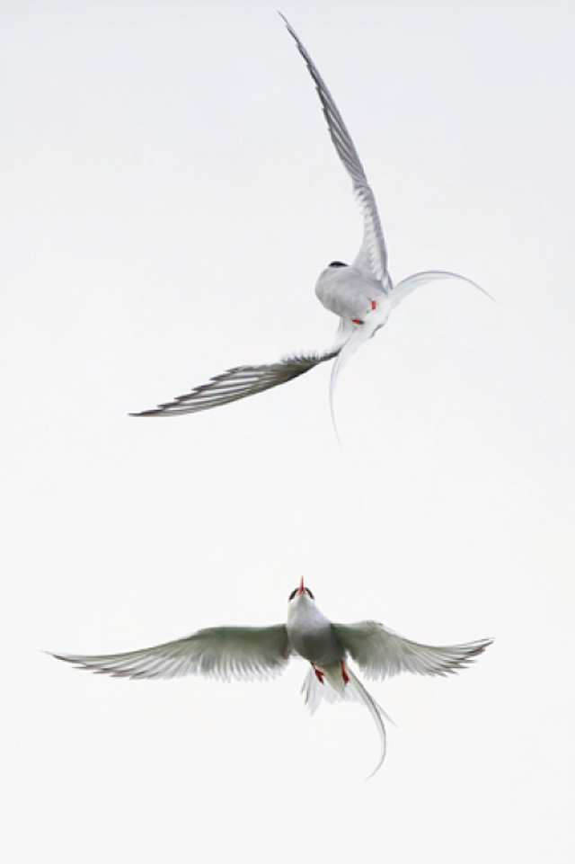 © Nicolas Orillard-Demaire © Nicolas Orillard-Demaire