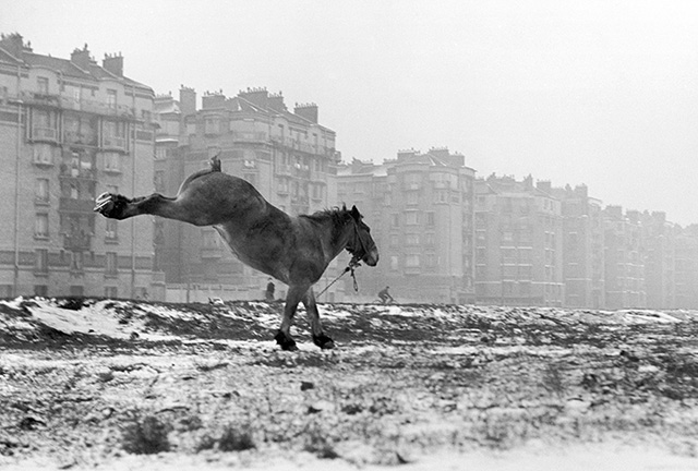 Porte de Vanves, Paris, 1951 © Sabine Weiss