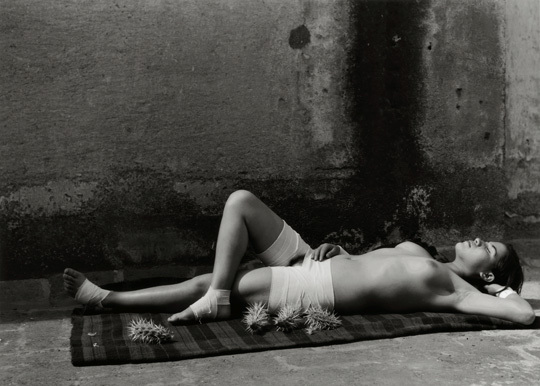 Photopoésie (photos) Photopoésie (photos)