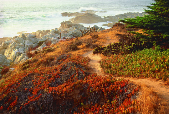 Voyager (photos) Voyager (photos)