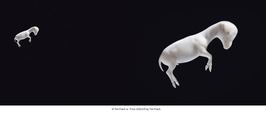 Equus (photos) Equus (photos)