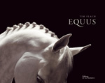 Equus (photos)