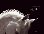 Equus (photos) Equus (photos)