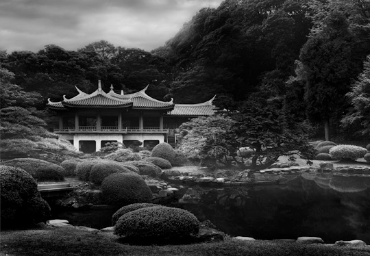 La Lumière de Tokyo (photos)