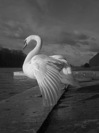 Concours photo Fnac (résultats) Concours photo Fnac (résultats)