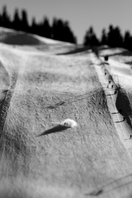 © Lorenz Holder, courtesy of Sony World Photography Awards 2009 © Lorenz Holder, courtesy of Sony World Photography Awards 2009