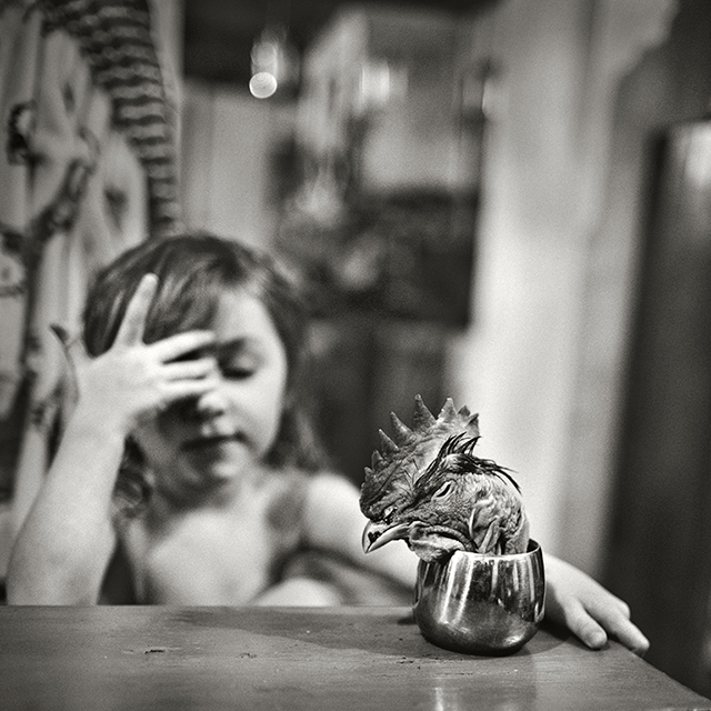 Alain Laboile, invité d'honneur de la 3e édition du festival La Photo se Livre