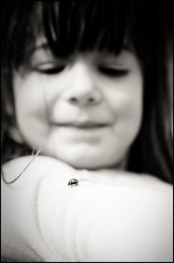 Concours "La vie est belle" : les résultats (51 à 60) Concours "La vie est belle" : les résultats (51 à 60)