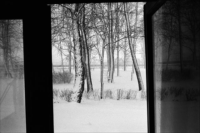 © Klavdij Sluban © Klavdij Sluban