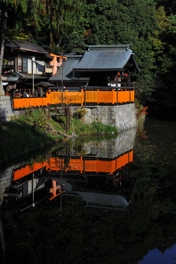 Reflet dans l’eau au cimetière du Renard © Raymond Moïsa Reflet dans l’eau au cimetière du Renard © Raymond Moïsa