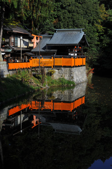 Reflet dans l’eau au cimetière du Renard © Raymond Moïsa