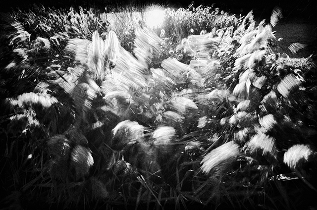 © Fabrice Domenet © Fabrice Domenet