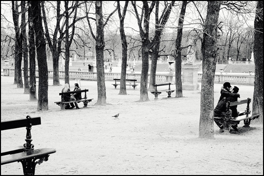 Les amoureux des bancs publics • Sébastien Bergeron