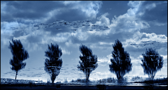 Un jour, les arbres flotteront dans le ciel • Patrice Carré Un jour, les arbres flotteront dans le ciel • Patrice Carré