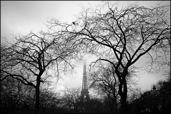 Seuil • Albéric Ortholary Seuil • Albéric Ortholary