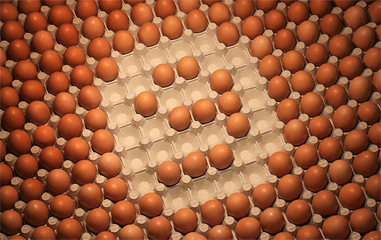 « Deux mille n'œufs » • © Alexandre Dubosc