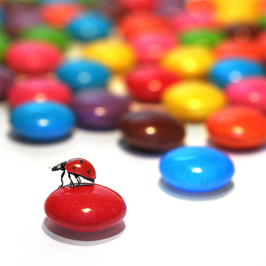 « Maman ? » • © Alexandre Dubosc « Maman ? » • © Alexandre Dubosc