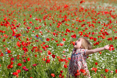 Concours "Le monde en 100 vies•âges" : les résultats • 10/10 Concours "Le monde en 100 vies•âges" : les résultats • 10/10