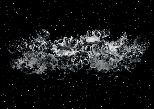 © Sandrine Elberg © Sandrine Elberg