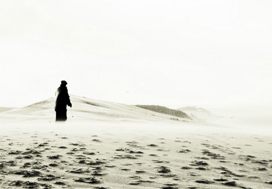 Le vieil homme sur la dune • Pascale Philippe