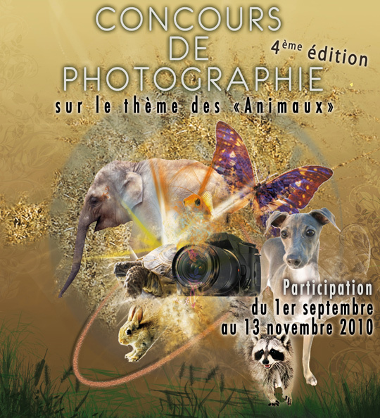 Concours Skyprods 2010 : les animaux à l'honneur