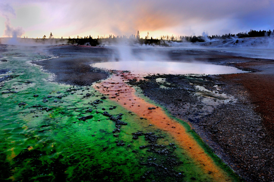 © Alain Ernoult © Alain Ernoult