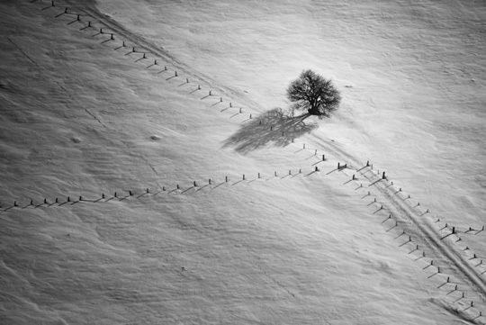 Exposition des lauréats du Tour de France "Lyon et sa région" de myN'club de Nikon Exposition des lauréats du Tour de France "Lyon et sa région" de myN'club de Nikon