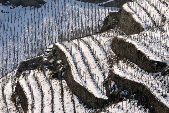Exposition des lauréats du Tour de France "Lyon et sa région" de myN'club de Nikon Exposition des lauréats du Tour de France "Lyon et sa région" de myN'club de Nikon