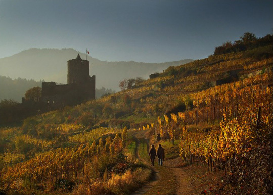 Exposition des lauréats du Tour de France "Lyon et sa région" de myN'club de Nikon Exposition des lauréats du Tour de France "Lyon et sa région" de myN'club de Nikon