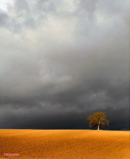 Exposition des lauréats du Tour de France "Lyon et sa région" de myN'club de Nikon Exposition des lauréats du Tour de France "Lyon et sa région" de myN'club de Nikon