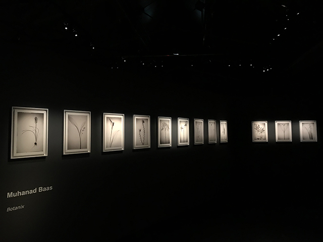 Les Regards Croisés se dévoilent en images à Phot'Aix 2018 Les Regards Croisés se dévoilent en images à Phot'Aix 2018